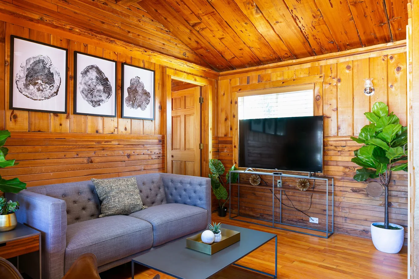 River Pines Resort — cozy pine-wall cabin living room with flat-screen TV