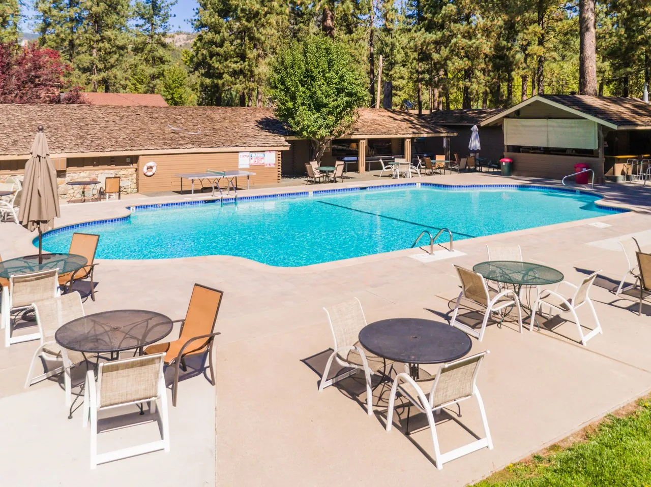 Large Group Golf in Graeagle: How 50+ Golfers Do It Right