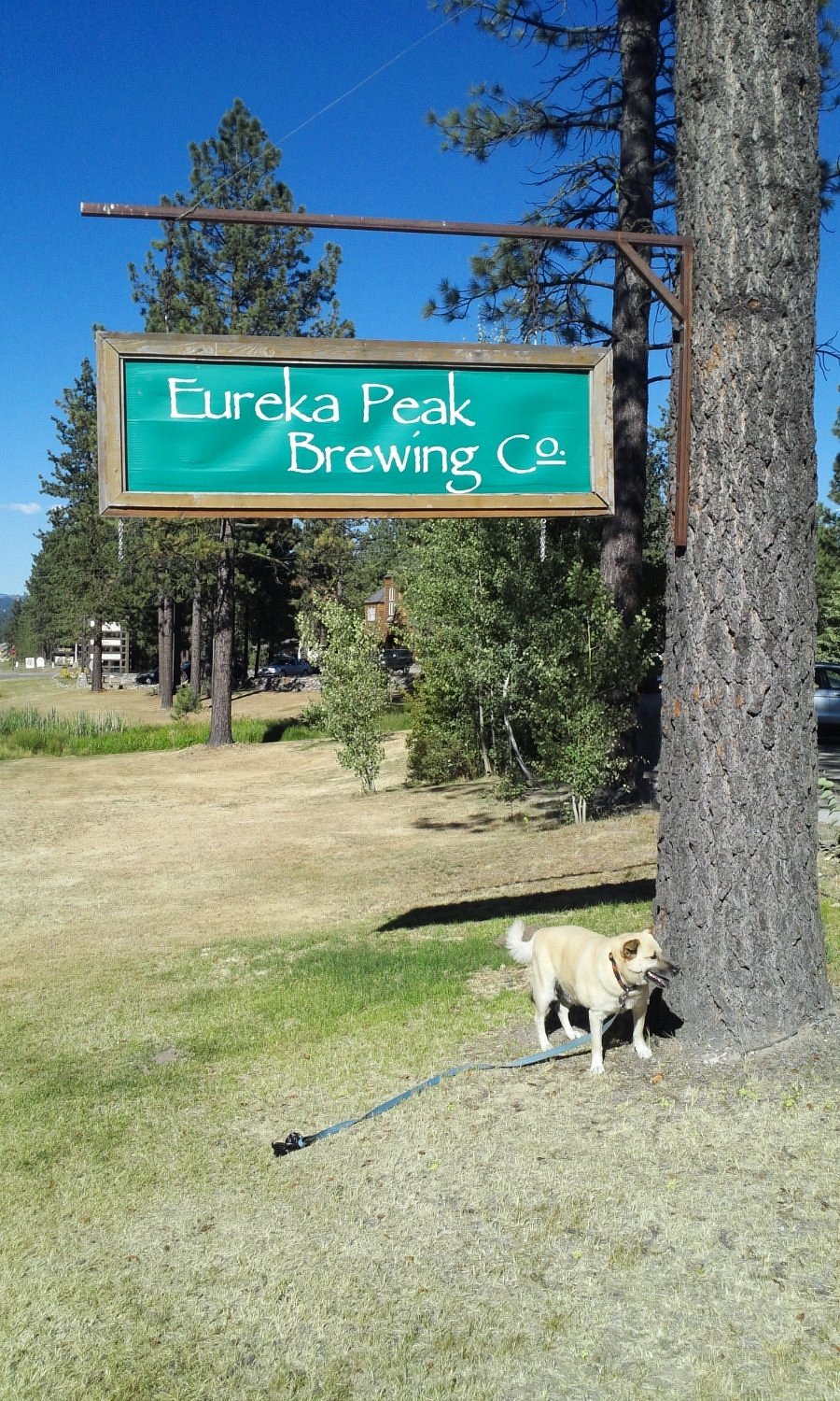 Eureka Peak Brewing Co. — sign with stone wall and flower boxes at Chalet View Lodge, Graeagle CA