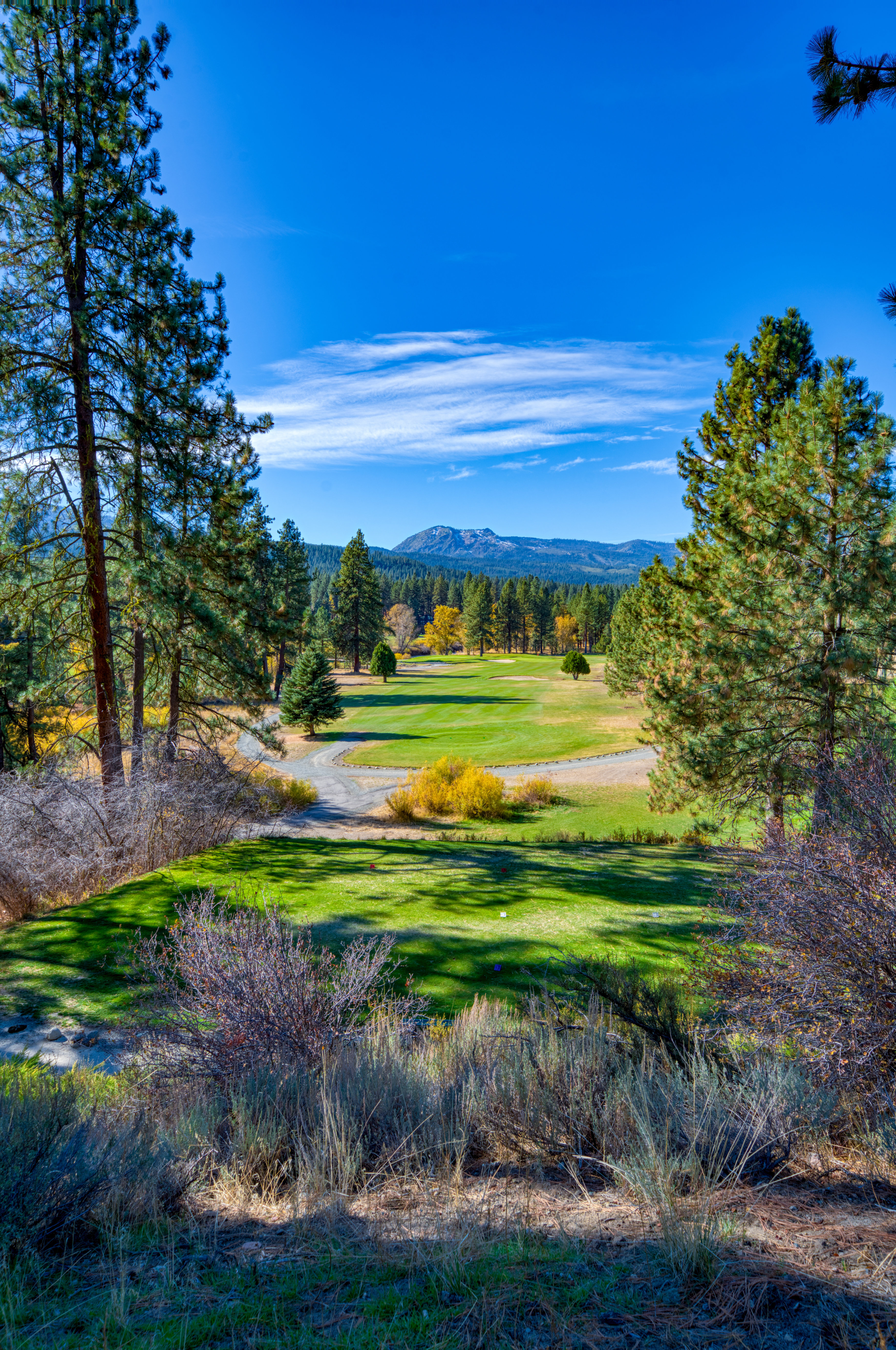 Graeagle Meadows — Most accessible of the 5 courses