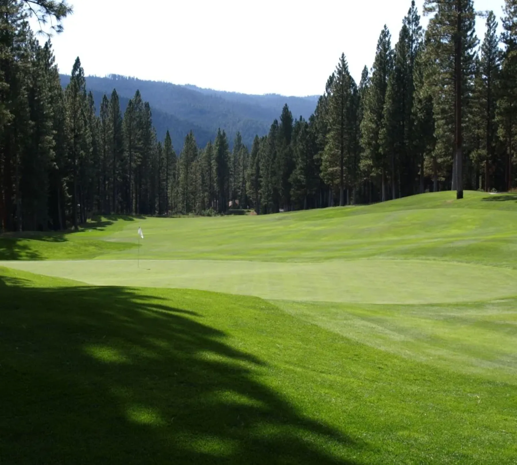 Bachelor Party Golf in Graeagle: The Complete Group Guide